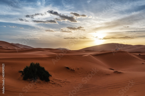 Desert Wanderlust: Exploring the Vast Sand Dunes at Sunset photo