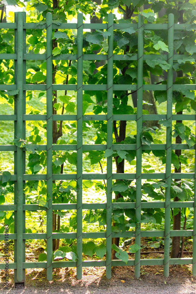 Green metal fence in the park as a background Green metal fence in the park as a background