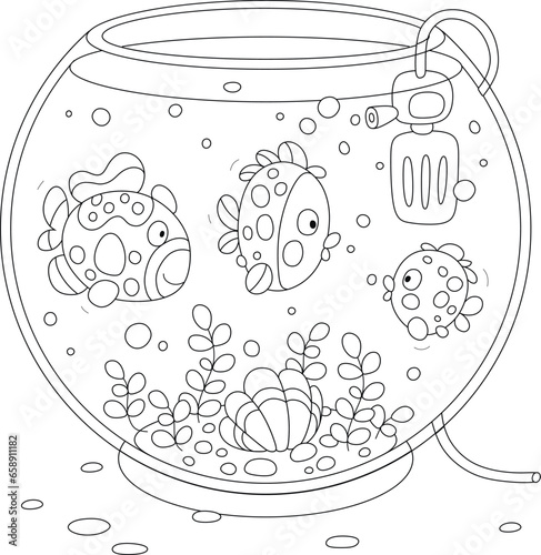 Funny decorative fishes swimming and chatting in their home round aquarium with a tropical shell and seaweeds on the sand bottom, black and white outline vector cartoon illustration