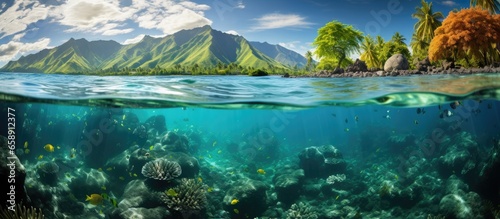 Fotografia, Obraz Tahiti lagoon in French Polynesia an underwater scene with corals algae and sunl
