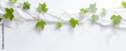 Branch with grape illustration isolated on white background. Grape with leaves. Fruit healthy food.