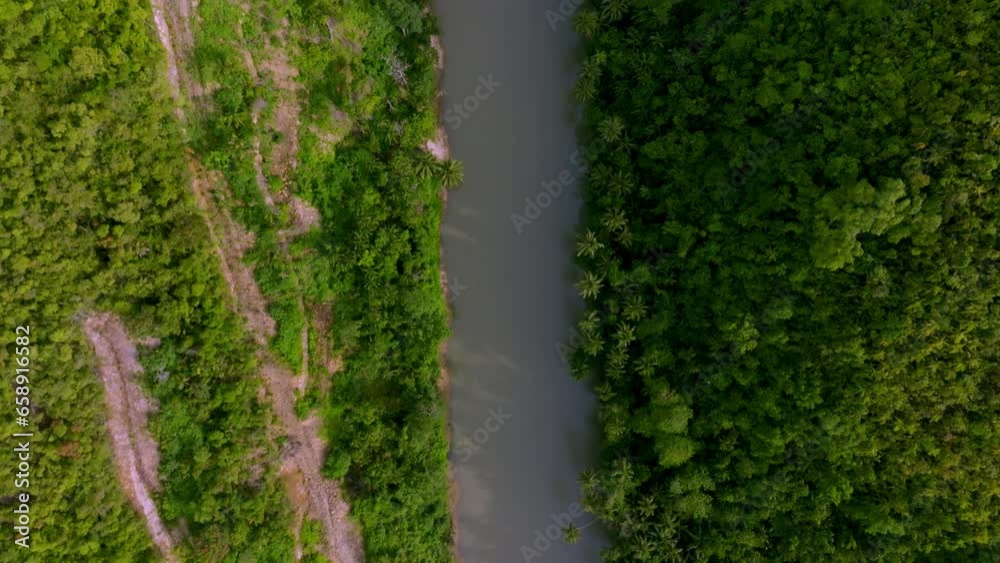 4K DRONE VIDEO OF JUNGLE RIVER PHILIPPINES 4K DRONE VIDEO OF JUNGLE RIVER PHILIPPINES