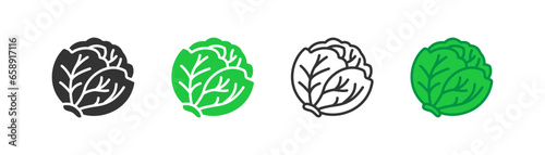 Cabbage vegetable vector icon. Organic vegetarian salad symbol. Natural fresh green healthy food, harvest season. Outline, flat and colored style icon for web design. Vector illustration.