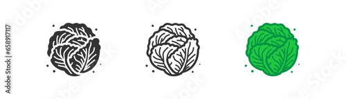 Cabbage vegetable icon. Organic vegetarian product cauliflower, salad symbol. Farm market fresh green healthy food, harvest season. Outline, flat and colored style, web design. Vector illustration.