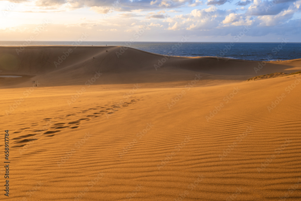 scenery of Tottori Sand Dunes in Tottori Prefecture, Japan at sunset