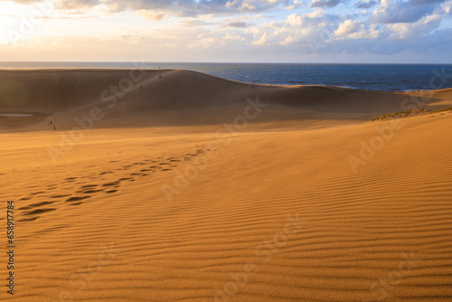 scenery of Tottori Sand Dunes in Tottori Prefecture  Japan at sunset