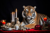 A tiger in a Christmas setup. Studio portrait, winter festive season template.
