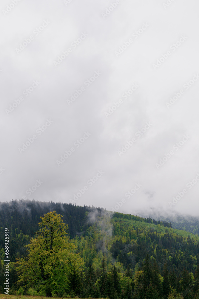 Mountains in the fog, vertical photo