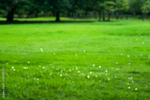 Blurred outdoors image. Blurry background from fresh green grass with soft bokeh and reflection of sunlight.