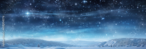 Panoramic snowy background at night, winter wonderland, snow-covered trees, sky and stars © IonelV