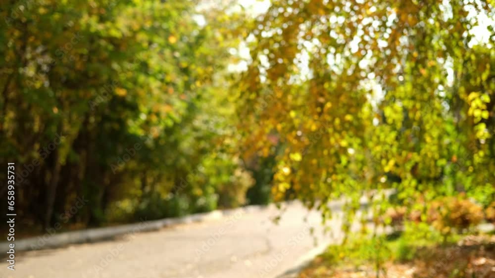 Defocused colorful falling autumn leaves. Beautiful birch tree with yellow leaves in autumn forest. Golden tree leaves falling. Golden autumn tree in the public park. High quality 4k footage Defocused colorful falling autumn leaves. Beautiful birch tree with yellow leaves in autumn forest. Golden tree leaves falling. Golden autumn tree in the public park. High quality 4k footage