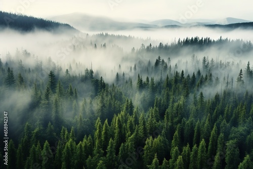 Aerial view of a misty forest on a foggy day. © IMAGE