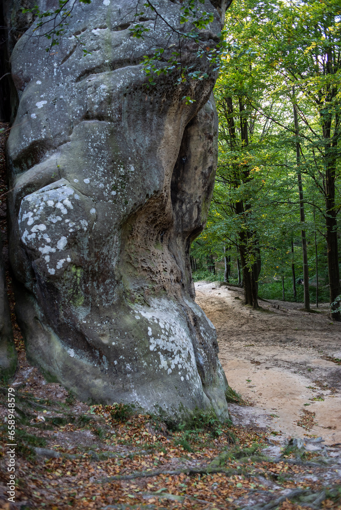 Rocks in the mountains. Blue sky and trees. Nature park Rocks in the mountains. Blue sky and trees. Nature park