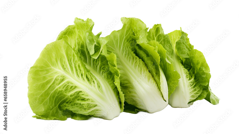 Lettuce isolated on a transparent background. Lettuce isolated on a transparent background.