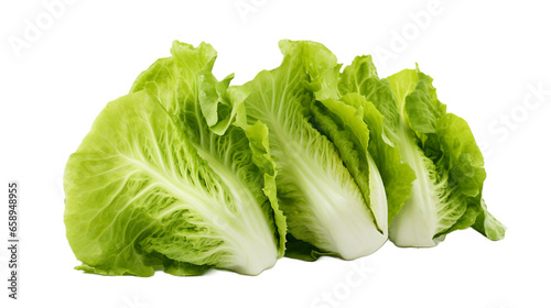 Lettuce isolated on a transparent background.