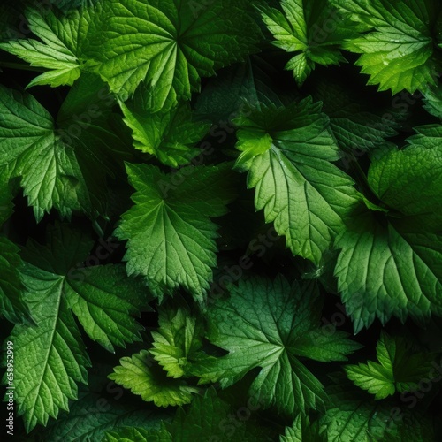 Nettles as seamless tiles