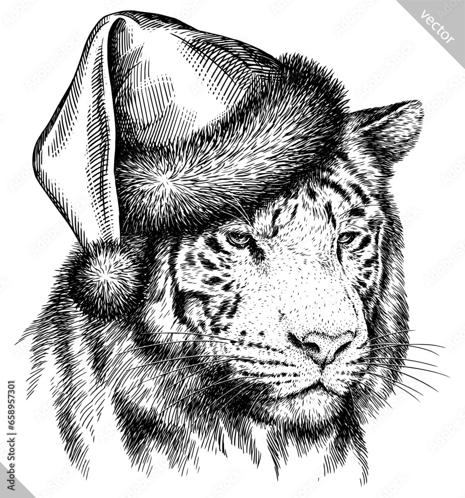 Obraz premium Vintage engraving isolated tiger set dressed christmas illustration ink santa costume sketch. Africa wild cat background animal silhouette new year hat art. Black and white hand drawn vector image