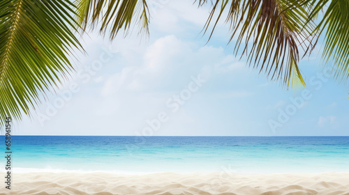 palm tree on the beach with copy space