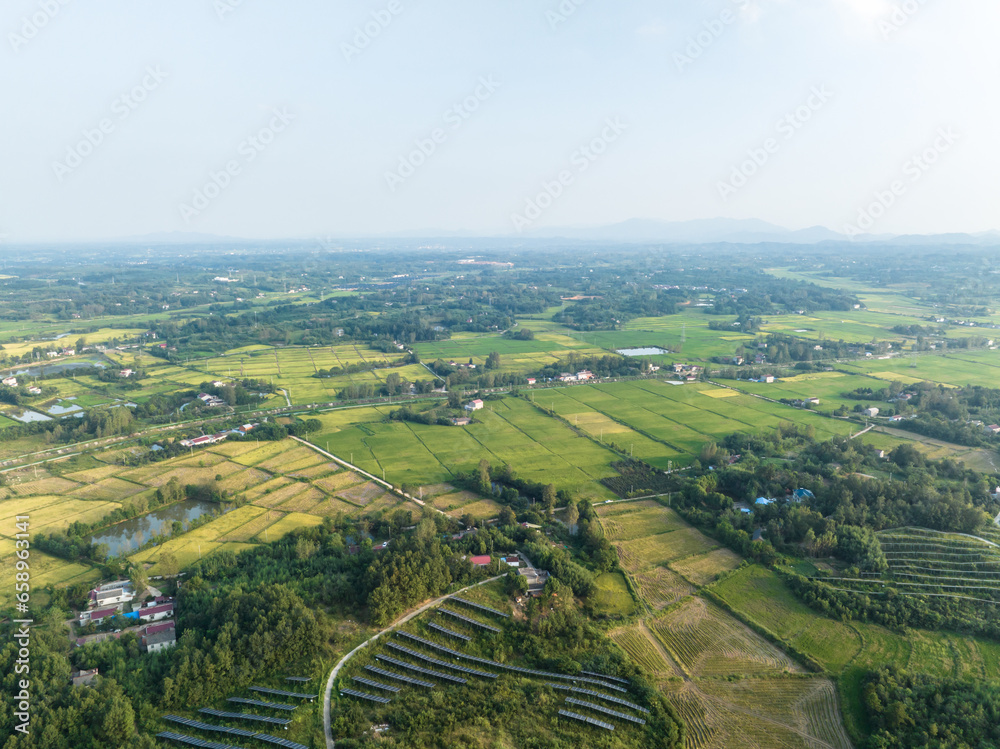 Fototapeta premium view of country field
