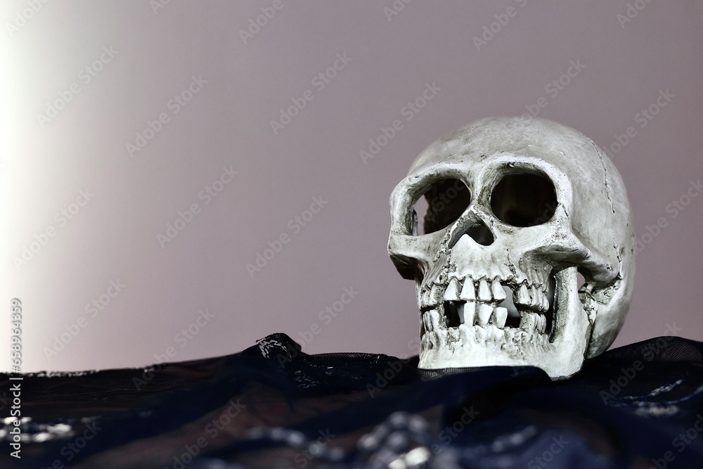 Fototapeta premium Gruseliger Totenschädel, Totenkopf, menschlicher Schädel auf einem schwarzen Tuch. Dekoration für Halloween und Symbol für den Tod 