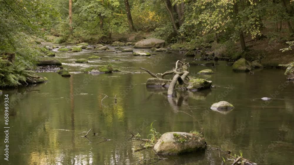 Spree River in the forest with sound peacefull
Bautzen, Saxony Spree River in the forest with sound peacefull
Bautzen, Saxony