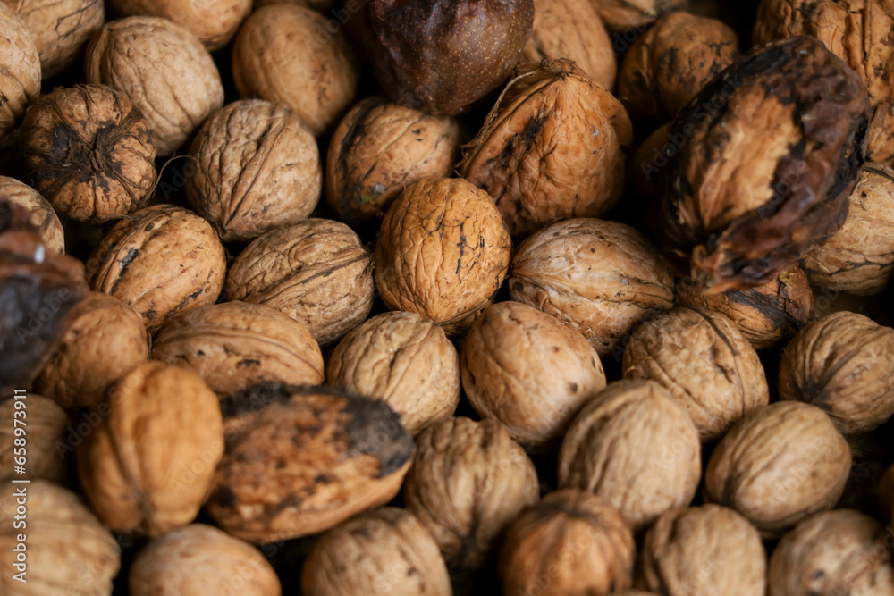 Heap of unprocessed wallnuts in shell from low angle. Dirty wallnuts collected from a tree. Dimishing perspective. Heap of unprocessed wallnuts in shell from low angle. Dirty wallnuts collected from a tree. Dimishing perspective.