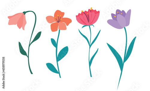 spring florals vector illustration set. Cartoon simple flowers, leaves, brunches, plants
