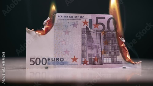 Euros are burning in the foreground, and bitcoin coins appear in the back. Bitcoin burns cash. Bitcoins replace euros.