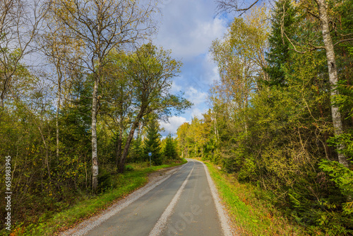 Beautiful autumn landscape with asphalt road in forest with road sign to let oncoming car pass. Sweden.