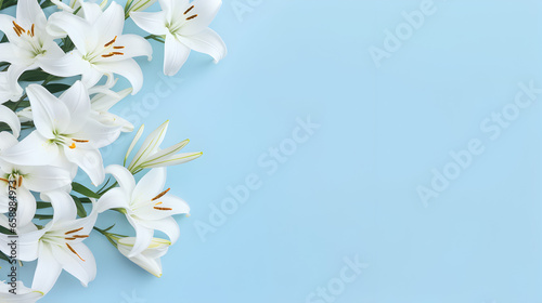 Beautiful white lily flowers on light blue background © Emma