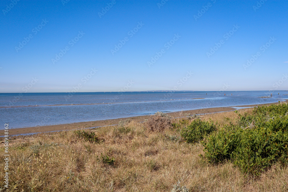 beach and dunes