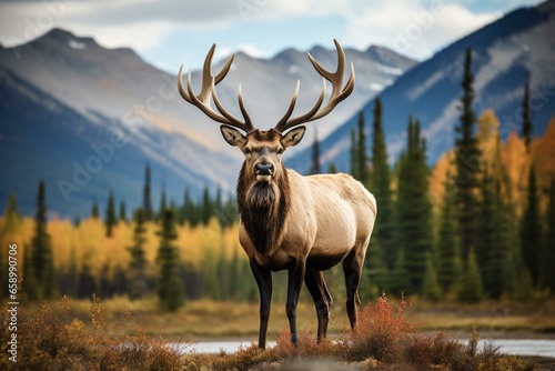 a male elk in the Rockies. Generative AI