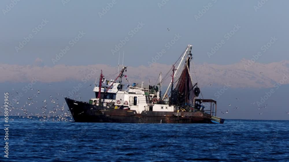 Fishing boat surrounded by seagulls, Black Sea. Mountains in the background. Fishing boat surrounded by seagulls, Black Sea. Mountains in the background.