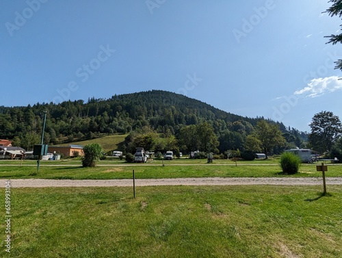 Wallpaper Mural Selva Negra de Alemania Torontodigital.ca