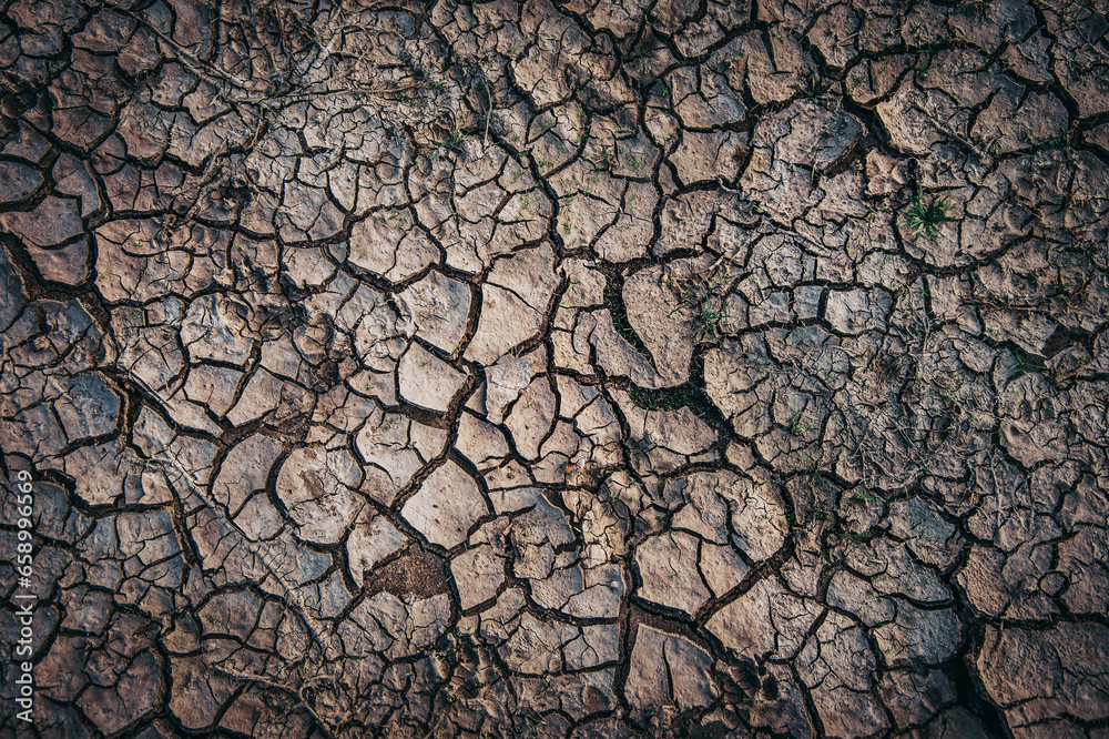 Dry cracked earth, global warming concept. Dry cracked earth, global warming concept.