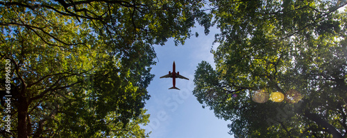 Fotografi looking up through trees to a plane flying overhead.