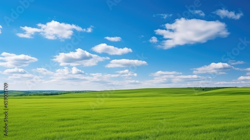 Beautiful natural scenic panorama green field of cut grass into and blue sky with clouds on horizon. © Oulailux