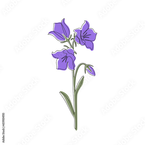 One bell flower in the center of a white background in the linart style with abstract spots
