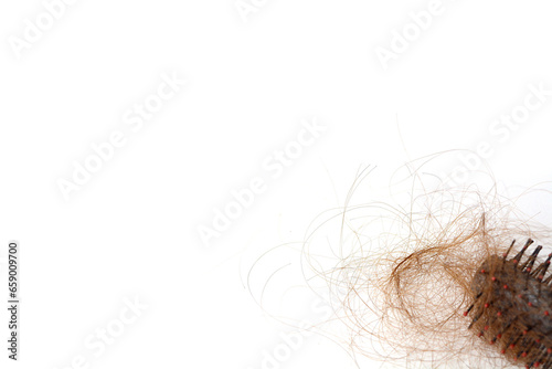 Hair loss in comb, hair fall everyday serious problem, on white background.