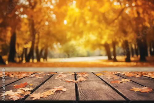 autumn background floor in golden forest,