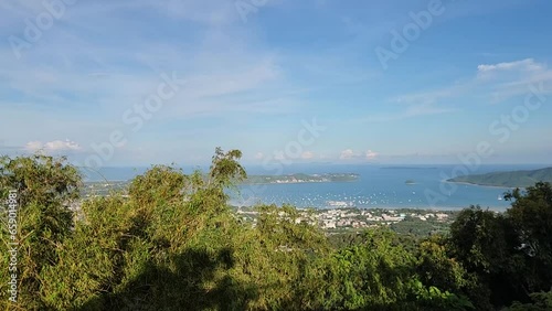 Wallpaper Mural Various plants of Thailand. Tropical and exotic plants of Asia Torontodigital.ca