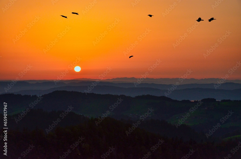 Fantastic sunset on the highest point in the canton of Zurich, the Schnebelhorn. Beautiful sunset with birds. High quality photo