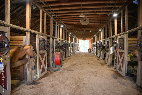 Interior shot of wooden horse stable with stalls inside the barn