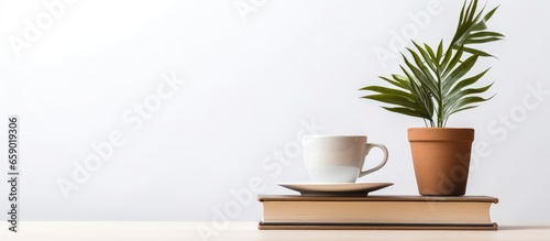 Minimalist workspace concept with copy space including coffee cup book stack and plant on white background © AkuAku