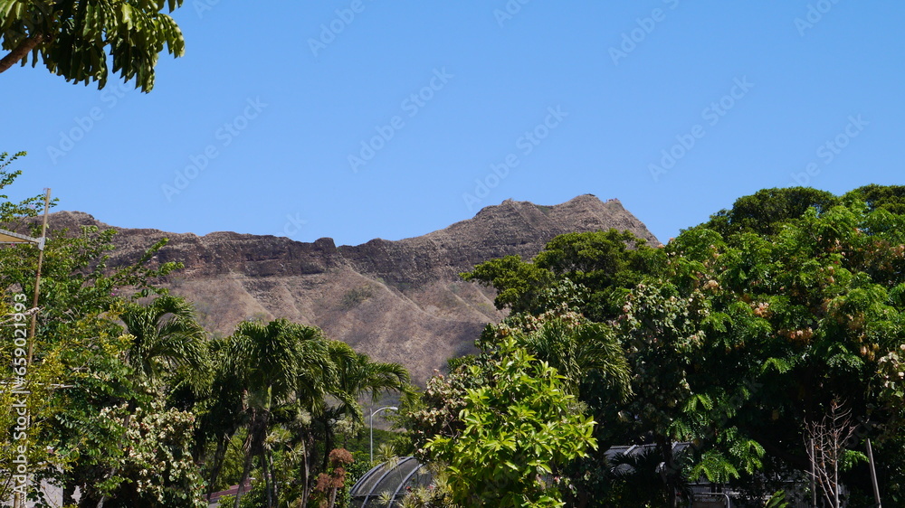Obraz premium ハワイ ホノルル動物園