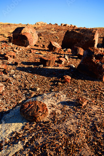 Rugged and Desolate Landscape Petrified Forest Arizona