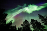 Great Northern Lights the 18/9-23. An awesome show that lasted allmost 2 hours ! 
