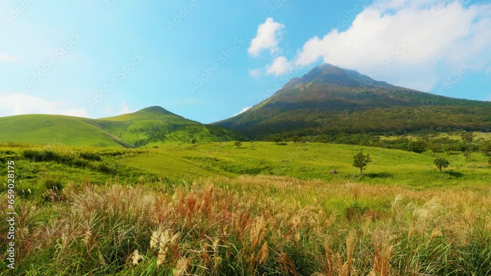 すすきが風にゆれる秋の山 大分県 由布岳 すすきが風にゆれる秋の山 大分県 由布岳