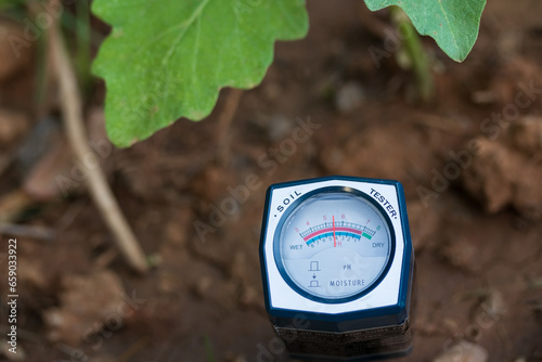 Soil pH meter and soil fertility meter for cultivation.p value It is an indicator of plant nutrient absorption. Different plants require different pH values. photo