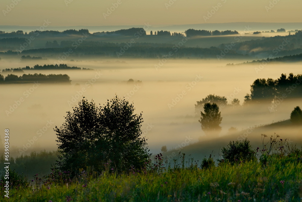Russia. Altai Territory. Misty dawn in the valleys and ravines of hilly fields with birch groves near the village of Yeltsovka.